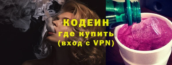 ешки Корсаков