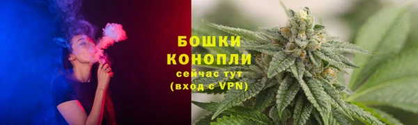 ГАЛЛЮЦИНОГЕННЫЕ ГРИБЫ Коряжма