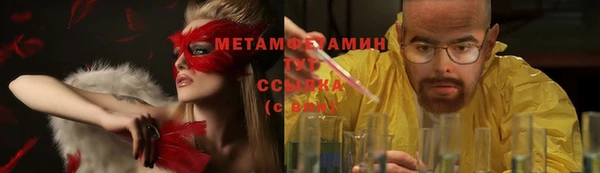 ГАЛЛЮЦИНОГЕННЫЕ ГРИБЫ Коряжма