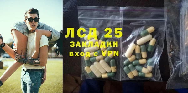 ГАЛЛЮЦИНОГЕННЫЕ ГРИБЫ Коряжма