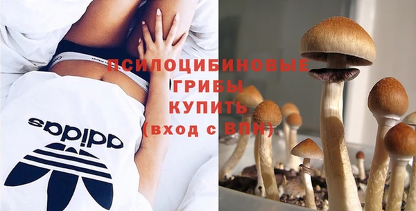 ГАЛЛЮЦИНОГЕННЫЕ ГРИБЫ Коряжма