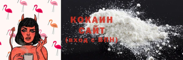 ГАЛЛЮЦИНОГЕННЫЕ ГРИБЫ Коряжма