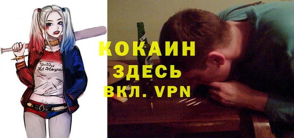 ГАЛЛЮЦИНОГЕННЫЕ ГРИБЫ Коряжма
