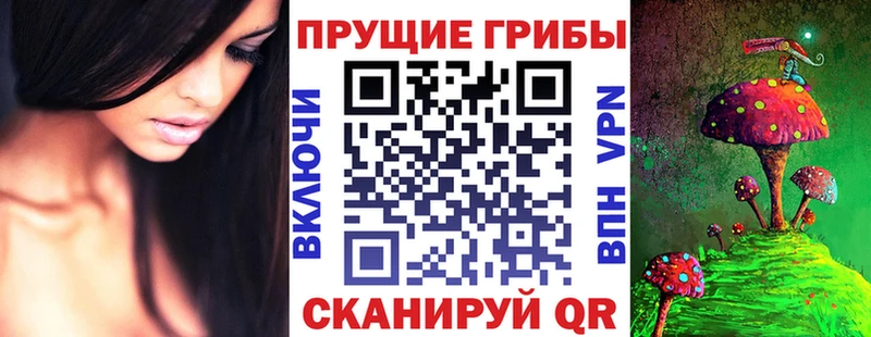 Галлюциногенные грибы Psilocybe  Купить закладки  Игра 
